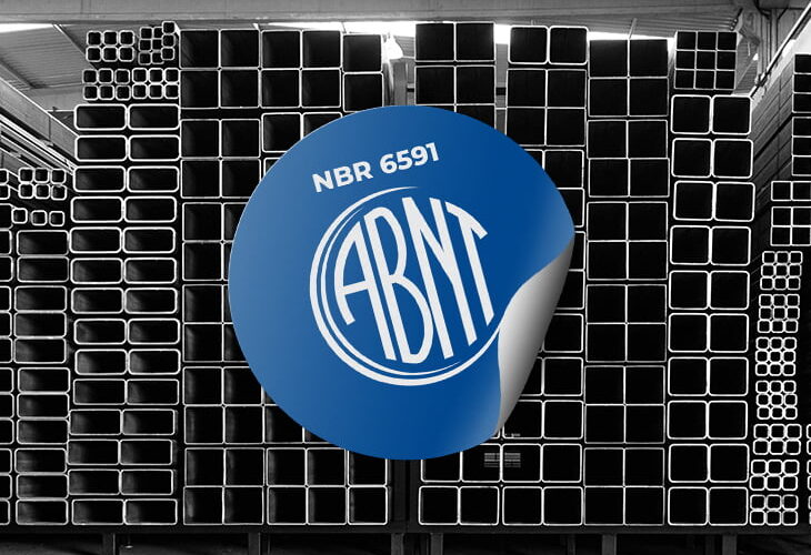 O que é a norma NBR 6591?