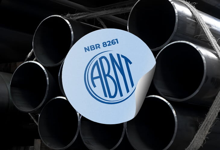 O que é a norma NBR 8261